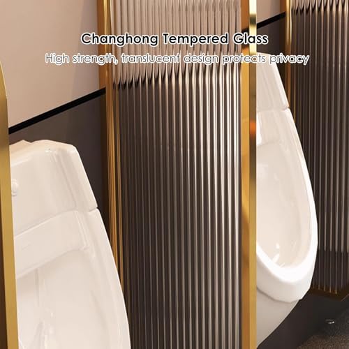 Mampara de privacidad para urinario en cristal negro opaco 4