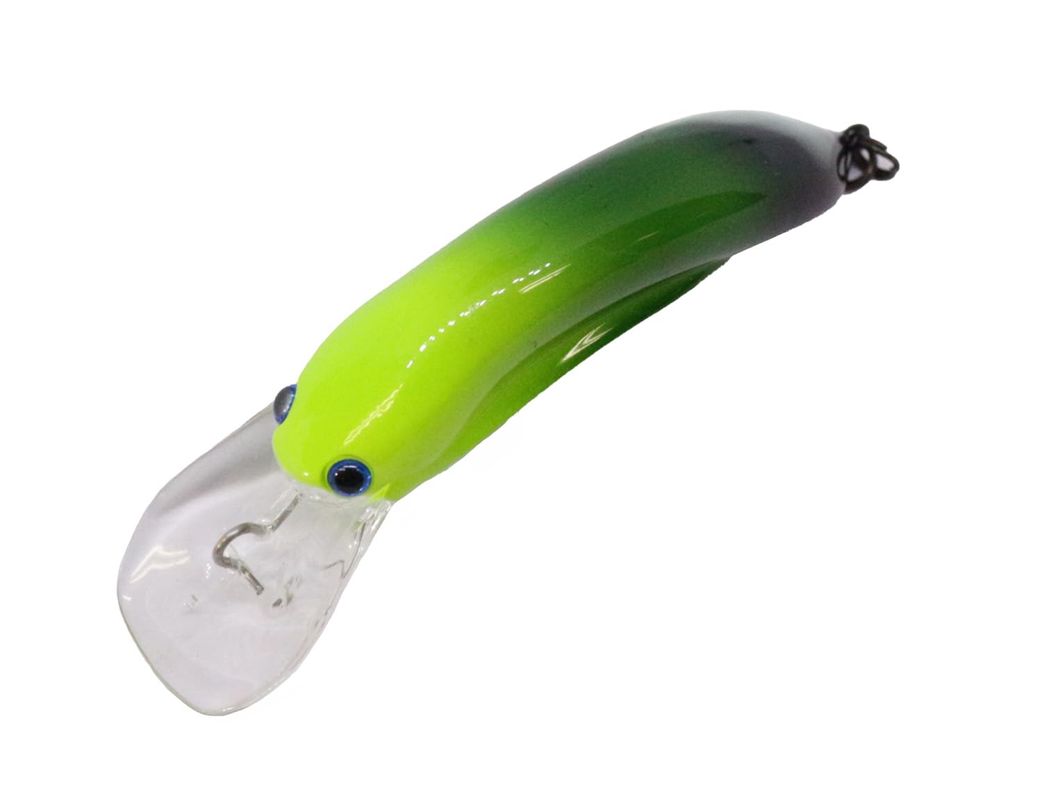 ディスプラウト　ガメクラＦ ８個セット みどぴぃ〜の　Ｇ２モデル ディスプラウト ガメクラ G2 2025