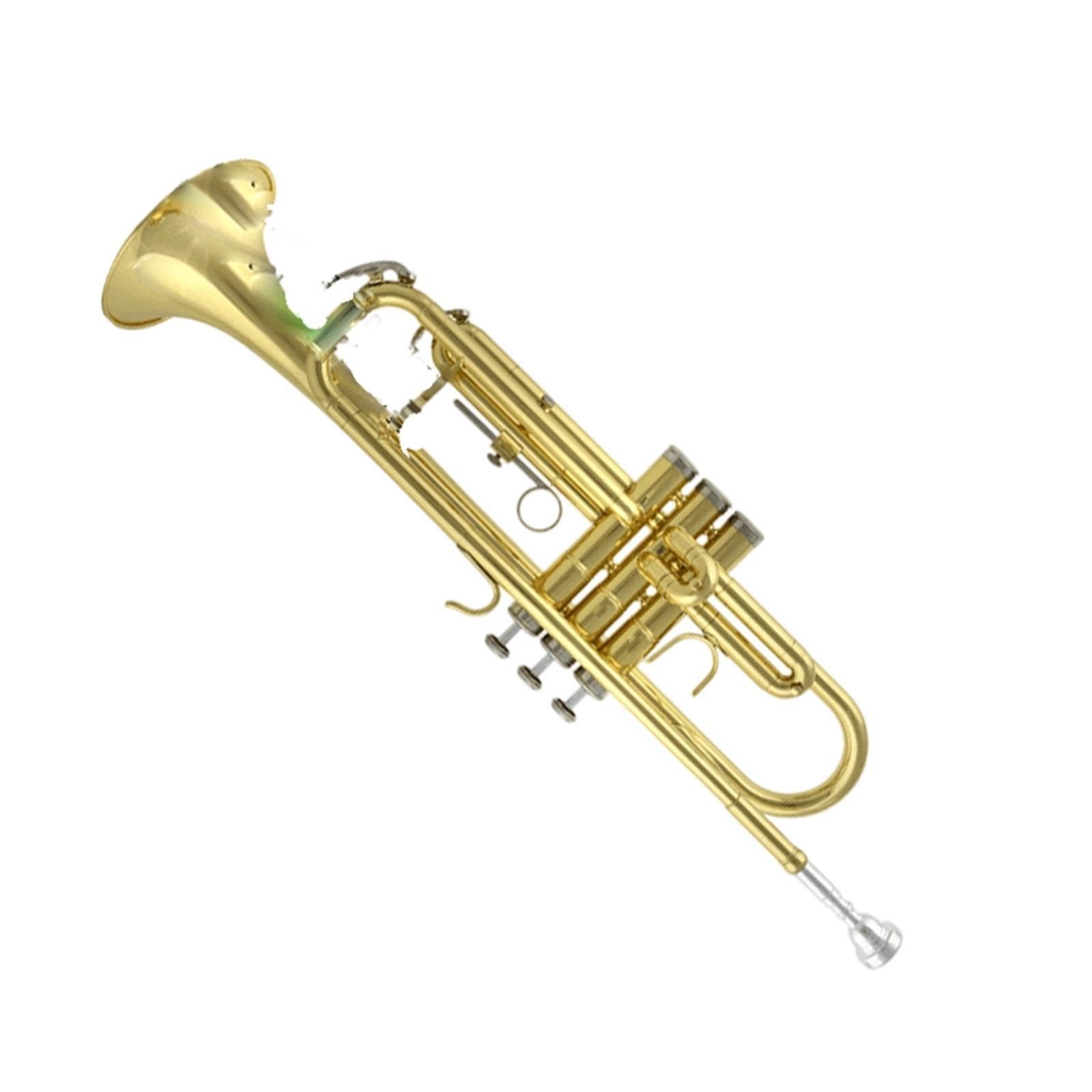 Professional Trumpet Trompeta en si bemol para principiantes