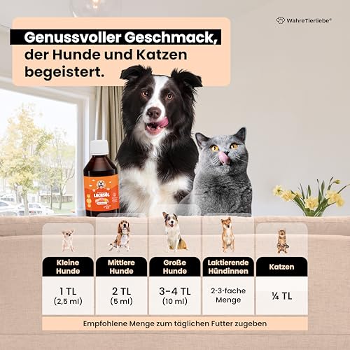 Wahre Tierliebe Lachsöl aus 100% atlantischem Lachs I Fischöl mit Reichhaltigen Omega 3 & 6 Fettsäuren als Perfekte Nahrungsergänzung, Made in Germany