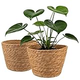 Hoceium 2PCS Seagrass Plant Basket for Indoor and Outdoor,Wicker Large Planter Basket for 6 inch Pot,Rattan Plant Pot Covers for Potted Plants,Woven Storage Baskets for Rustic Boho Farmhouse Decor