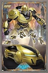 Barnwood Framed Version