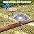 CaliDecor Deck Mounted Bird Bath and Feeder, 2-in-1 Balcony Metal Birdbaths for Deck Railing Outdoors, Adjustable Heavy Duty Clamp for Garden Decor Yard Lawn