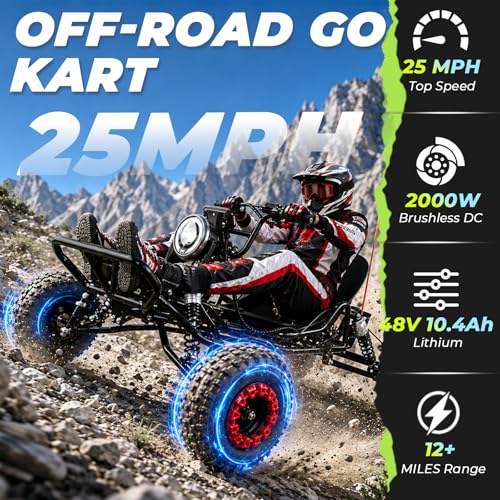 2000W 48V Electric Go Kart for Adults