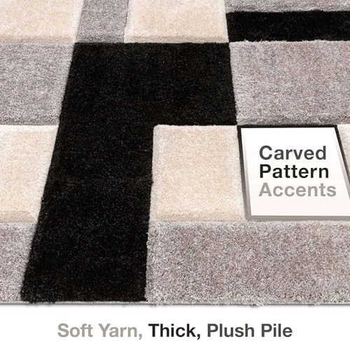 Image of Ultra-Soft Shaggy Carpet (4 X 6 FEET, Black Silver Ivory) Fluffy, Cozy & Durable Area Rug for Living Room, Bedroom & More ? Premium Modern Design