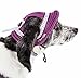 Pet Life ® 'Sea Spot Sun' UV Protective Breathable and Adjustable Quick On-and-Off Fashion Mesh Brimmed Pet Dog Hat or Pet Bandana