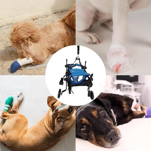 Cadeira de rodas para cães / gato / cachorro carrinho de bebê tamanho ajustável animal de estimação