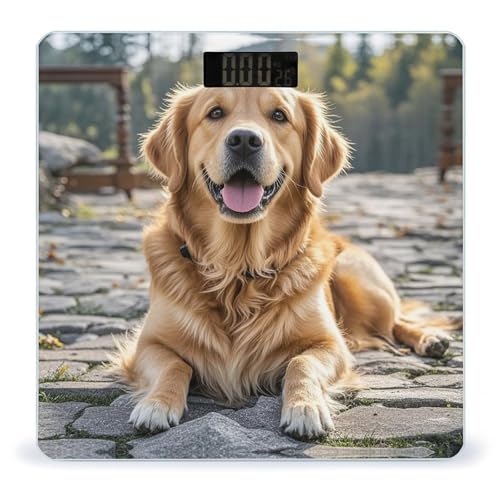 Golden Retriever Dog Scale for Body Weight Automatic On Or
