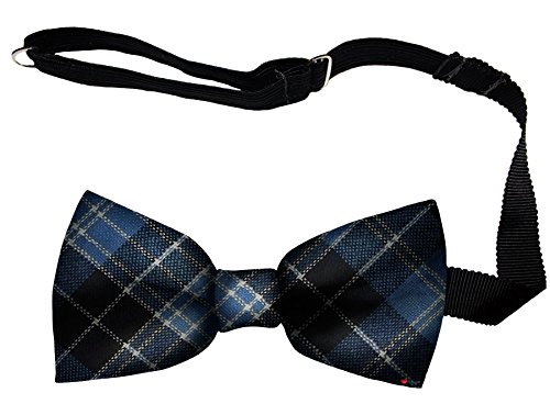 Noeud papillon en laine Clark Ancient Tartan réglable pour homme