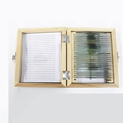 Lbg 24ނ̒nȊwpՕӕW{Aؕ YA_v^[