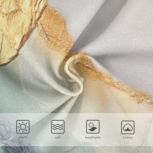 Cotton Panties Soft Panties Organic Cotton Toddler Underwear for Girls in Sizes 2T,3T, 4T, 5T, 6Y and 8Y3