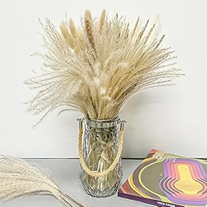 Tenrry Dried Pampas Grass Decor 120 PCS Including 17.5Inches Rabbit Tail Grass, Small Yellow Grass, Reed, White Pampas…