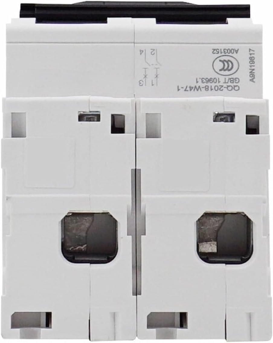 ALKOY Circuit breakerC120H 2p High Power Circuit Breaker C120H 2p C Type 63A 80A 100A 125A 10kA A9N19801 /09/17/25 1Pcs (Size : 2p, Color : 80A) (Color : 63A, Size : 2p)