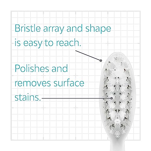 Image of TAO Clean Sonic Electric Toothbrush Replacement Heads (6-Pack) - Replacement Heads for the TAO Clean Electric Toothbrush and Docking Station, White
