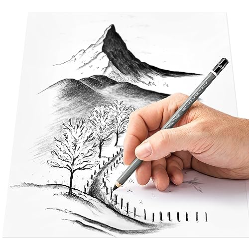 Lápices de carboncillo Staedtler Mars Lumograph 12 unid. miniatura 4