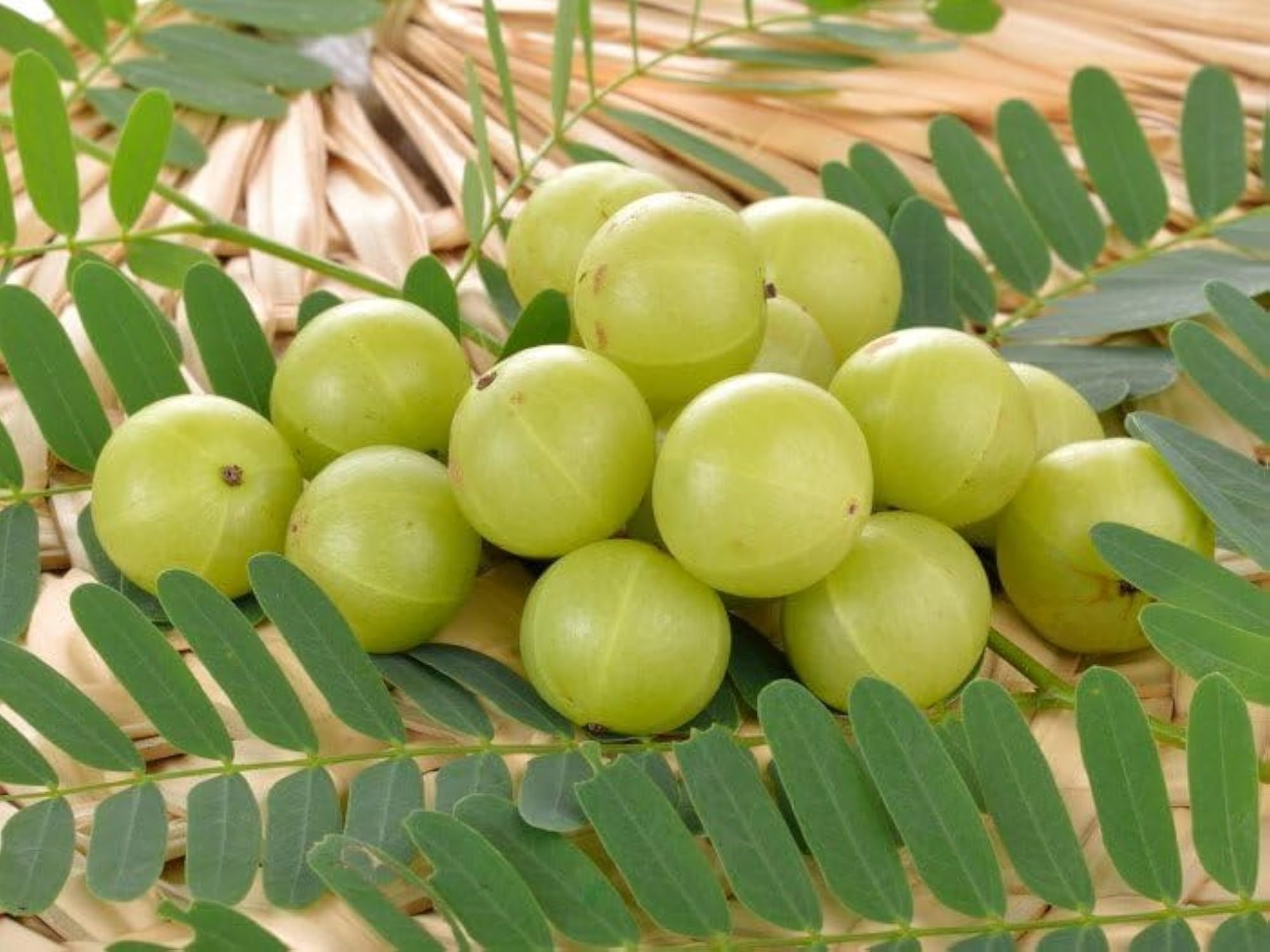 100% Pure Amla Powder for Hair Growth, Organic