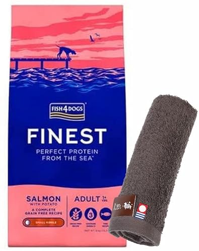 tBbV4 hbN T[ 6kgyzIWinh^IZbgzy^IJ[ JzyKiz