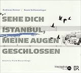 Sehe dich Istanbul, meine Augen geschlossen: Electric Field Recordings - Andreas Ammer, Feridun Zaimoglu, Sezer Duru, Sema Moritz, Süren Asatryan, Birol Topaloglu, Necati Tüfeng, Halil Karatuman, Murat K Ergün Komponist: Saam Schlamminger 