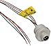 Brad 7R4006A19A120 Micro-Change Dual Key Receptacle, Male Straight, 1/2"-14NPT Mounting Thread Size, 4 Pole, UL1061 Cable Type, PVC Cable Jacket, 22AWG Wire Size, 4.0A Max Current Rating, 250V AC/DC Max Voltage, 12" Cable Length, Front Panel Mount (Pack of 4)