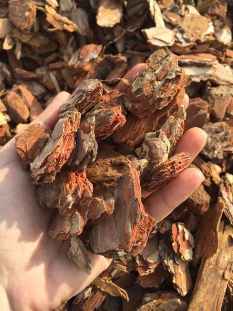 Corteccia nazionale di pino rosso 25-40 mm vagliata per pacciamatura sacco da 70 litri prodotto biologico naturale di origine esclusivamente vegetale Vivaio di Castelletto
