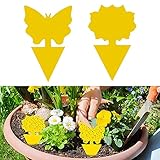 Einfach zu bedienen: Reißen Sie die äußere weiße Schale ab, hängen Sie sie auf oder setzen Sie sie in Ihre Pflanze ein. Ein perfektes Fliegenfalle-Setup ist abgeschlossen. Achten Sie darauf, Ihre Finger nicht mit Klebstoff zu kleben.