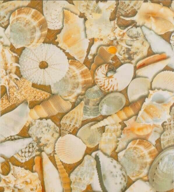 STColor Art010-Water Transfer Printing/Hydrographics/Hydro Dipping Film-Summer Recollection-50cm Widthx400cm Length