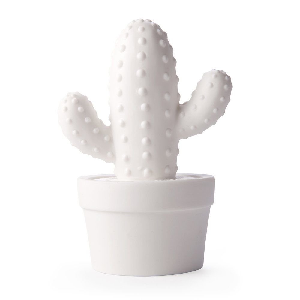 : CACTUS LED LIGHT カクタスLEDライト : ホーム