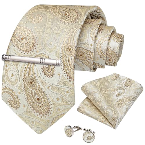 Image of DiBanGu Silk Floral Ties for Men Woven Paisley Necktie and Tie Clip Handkerchief Cufflinks Set for Party Wedding