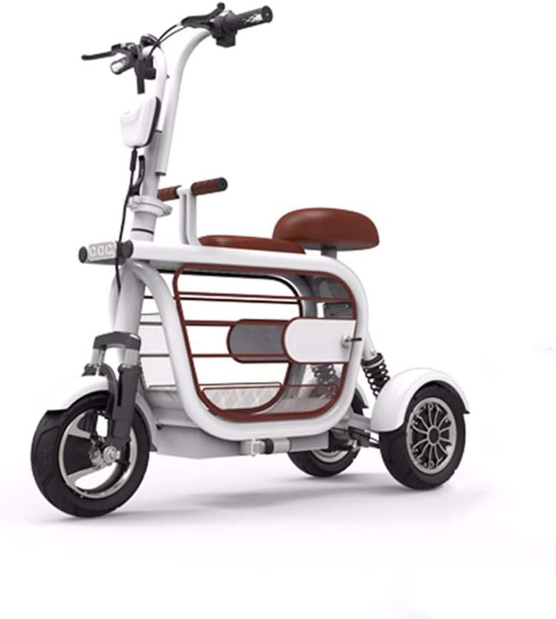 Triciclo a 3 ruote per adulti