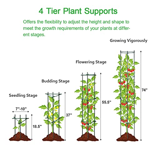image for Growneer Adjustable Tomato Cages Up to 74 InchesTall, 6 Packs 4 Tier P