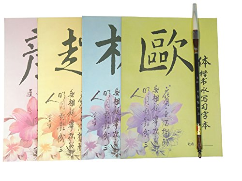 Re-writable Water Writing Chinese Calligraphy Exercise Book Brush for Beginner Quick Drying Fabric Cloth Paper for Beginners Practice Set (5 Items)