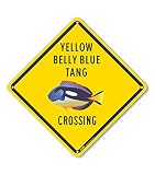PetKa Signs and Graphics PKAC-0907-NP_10x10 Cartello di plastica "Yellow Belly Blue Tang Crossing", 25,4 x 25,4 cm, giallo