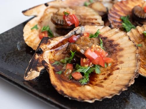 6ヶ月 定期便 刺身 鮮魚 6回 定期便 新鮮 国産 (ブリ かつお たたき キハダ マグロ タイ 貝 セット)タイ 鰹 貝 セット 冷凍 冷蔵 しゃぶ 鯛 お鍋 海鮮 年末 年始 大晦日 正月 高知県 須崎市 高知