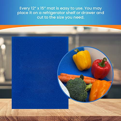 Bluapple Freshmats 4-Pack, 12" X 15" Cuttable, Washable, & Reusable Sponge Refrigerator Fruit & Vegetable Shelf Liner To Keep Produce Fresh Longer, Anti-Bruising, Promotes Air Circulation #TOP3