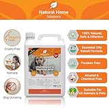 Natural Home Solutions Urine Deterrent & Deodoriser Big Value 5L Refill Urine Stop for Cat And Dog Repellent Stop Cats And Dogs Repeat Marking Indoors And Outdoors 100% Natural Enzyme Urine Destroyer - Image 2