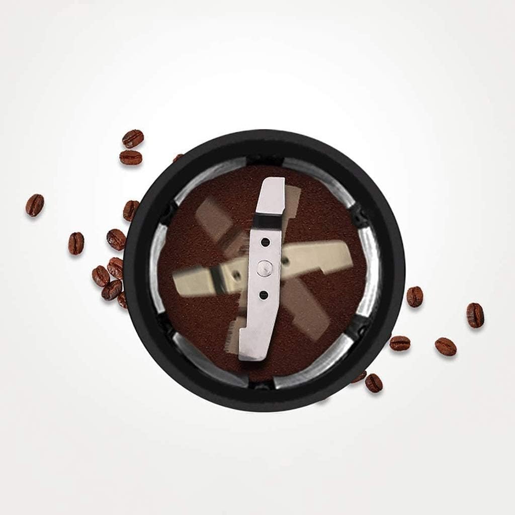 Drip Coffee Maker, Grind and Brew Automatic Coffee Machine with Built-In Burr Coffee Grinder