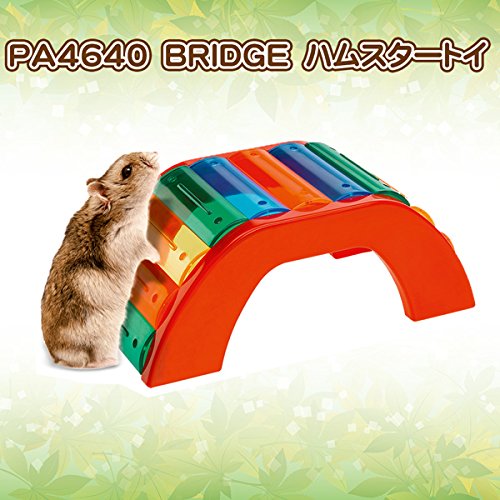 Brinquedo Ferplas Para Hamsters Ponte Colorido