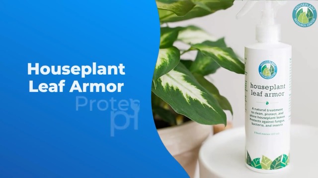 Houseplant Care Bundle miniatura 6