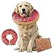 Dirty Little Paws Collar Isabelino Perro | Alternativa a Campana de Perro o Cono de Recuperación | Cómodo Collar Isabelino de Perro Estilo Donut | Collar Isabelino Inflable para Perro Grande (Rosa)