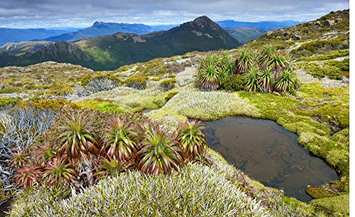 Australia: Australia: - Imagem 4