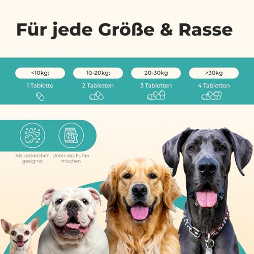 subosan® Wumina – Wurm-Kraut Tabletten für Hunde – für eine stabile Darmflora & EIN gutes Bauchgefühl – kein Anthelminthikum