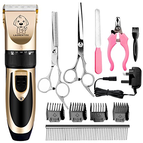 Top 10 Clippers For Yorkies of 2022 Best Reviews Guide