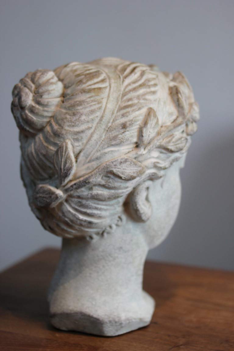 Exner Busto para mujer Valo, kl. Versión: cemento, altura 23 cm, busto pesado para mujer