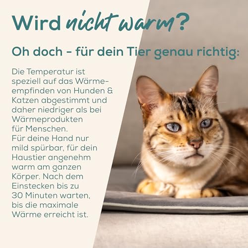Beurer Love Your Pet Heizmatte S Lilli für Hunde und Katzen, elektrisch beheizte Wärmematte mit Timer, kleine Hundedecke, Heizkissen waschbar bei 30°C, Kratzfest und wasserdicht, 41 x 34 cm