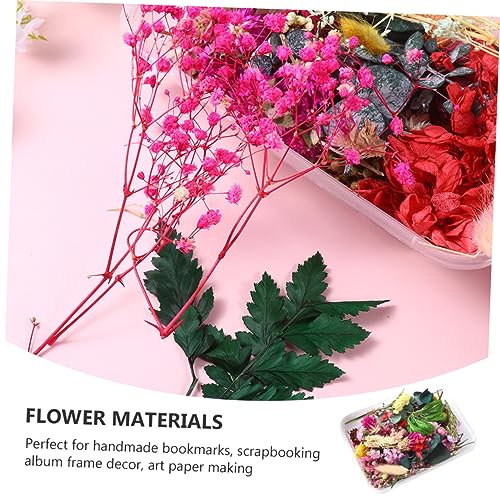 Flores secas naturales para manualidades DIY, ecoamigables miniatura 4