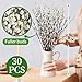 Oning 30 Stems Real Dried Pussywillow Preserved Greenery Branches for Vase- Natural Pussywillows with White Flowers, 16''-17'' Snow Willow Branches for Easter Wedding Home Party Hotel Fireplace Decor