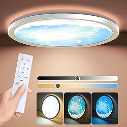 Amazon Lamparas Techo Infantiles Wholede Lámpara Techo, Plafon LED Redondo Regulable con Motivo de Luna 24W Lámpara Ultra Fina con Mando a Distancia para Habitación Infantil Salon Balcón Ø29.5cm, 1 Pieza