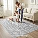 Flagover 5x7 Grey Washable Boho Area Rug for Bedroom, Vintage Floral Non Slip Living Room Rugs, Soft Low Pile Indoor Mat, Aesthetic Pattern Carpet for Kitchen and Dining Room