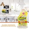OdoBan Ready-to-Use Disinfectant and Odor Eliminator, Set of 3, 32 oz Spray, 1 Gallon Concentrate and 14 oz Solid Odor Absorber, Citrus Scent