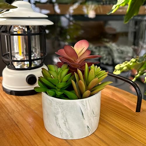 Karlliu KL-AP3003 Artificial Plants Cute Colourful Succulents In Ceramic Planter Fake Plant Flowers Potted thumb #2